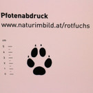 KOE_Wildpark Neue Infotafeln 18.jpg