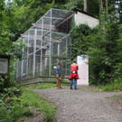 KOE_Wildpark Neue Infotafeln 20.jpg