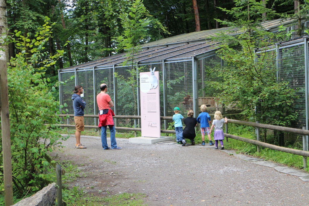 KOE_Wildpark Neue Infotafeln 22.jpg