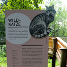 KOE_Wildpark Neue Infotafeln 26.jpg