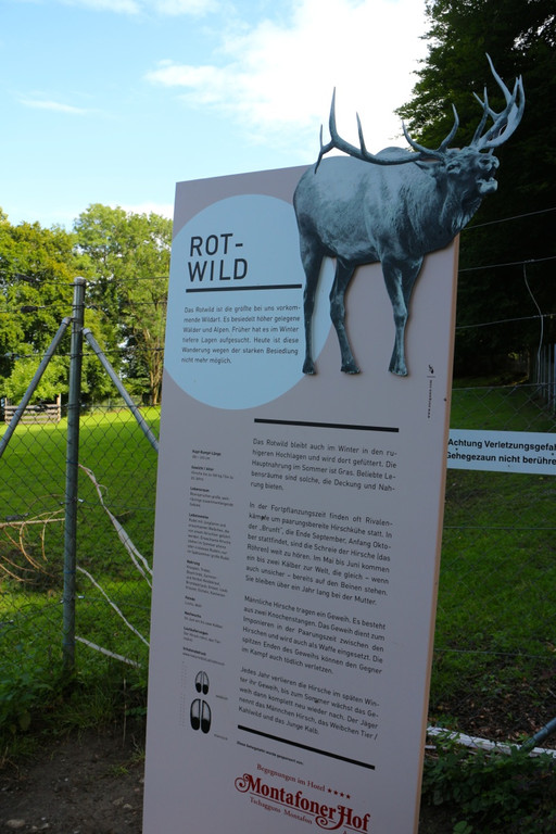 KOE_Wildpark Neue Infotafeln 28.jpg