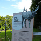 KOE_Wildpark Neue Infotafeln 28.jpg