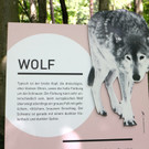 KOE_Wildpark Neue Infotafeln 33.jpg