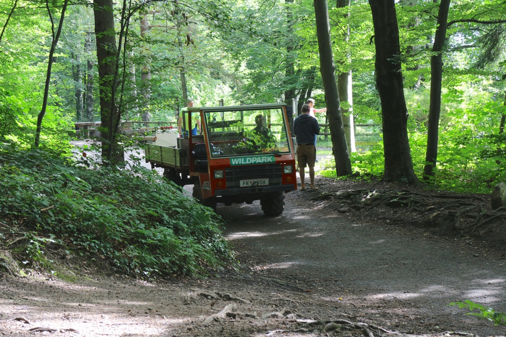 KOE_Wildpark Neue Infotafeln 34.jpg