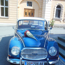 Hochzeit von Bettina Dietrich und Andreas König