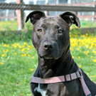 Marry hofft auf ein besonders liebevolles Zuhause