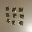 Marihuana-Pflanzen bei mutmaßlichem Dealer in Wien-Liesing sichergestellt