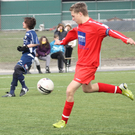 IMG_0077_jpg-1272285575
