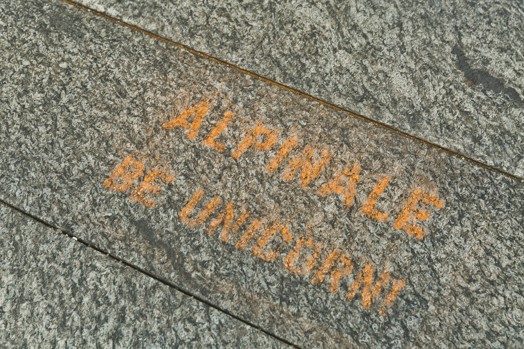 alpinale2014_eroeffnung-4.jpg
