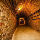20140806_05.jpg