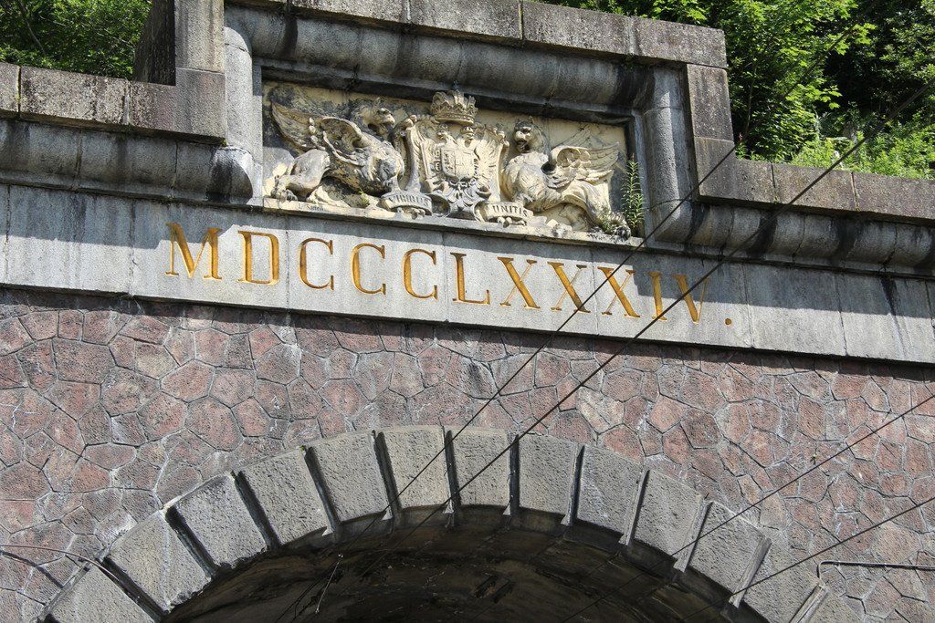 IMG_9960.JPG