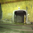 IMG_9921.JPG