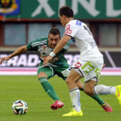 file6gj2xy1vss311f3v26kh.jpg