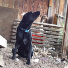 20140805_073850.jpg
