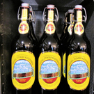 KOE-Exkursion-Thurgau 62_jpg-1272297786