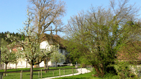 KOE-Exkursion-Thurgau 63_jpg-1272297799