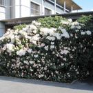 IMG_2292_JPG-1272303537