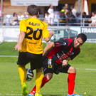 file6gjju4081087rpgj55t.jpg