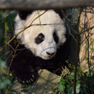 20140312_084313_Zoo_Vienna_03.jpg