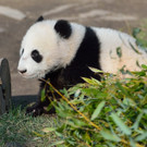 20140312_084847_Zoo_Vienna.jpg