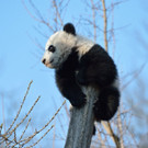 20140312_085014_Zoo_Vienna_01.jpg
