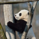 20140312_085655_Zoo_Vienna.jpg