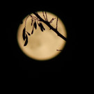 DSCN8204.JPG
