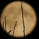 DSCN8218.JPG