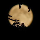 DSCN8195.JPG