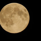DSCN8223.JPG