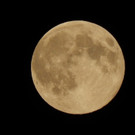DSCN8260.JPG