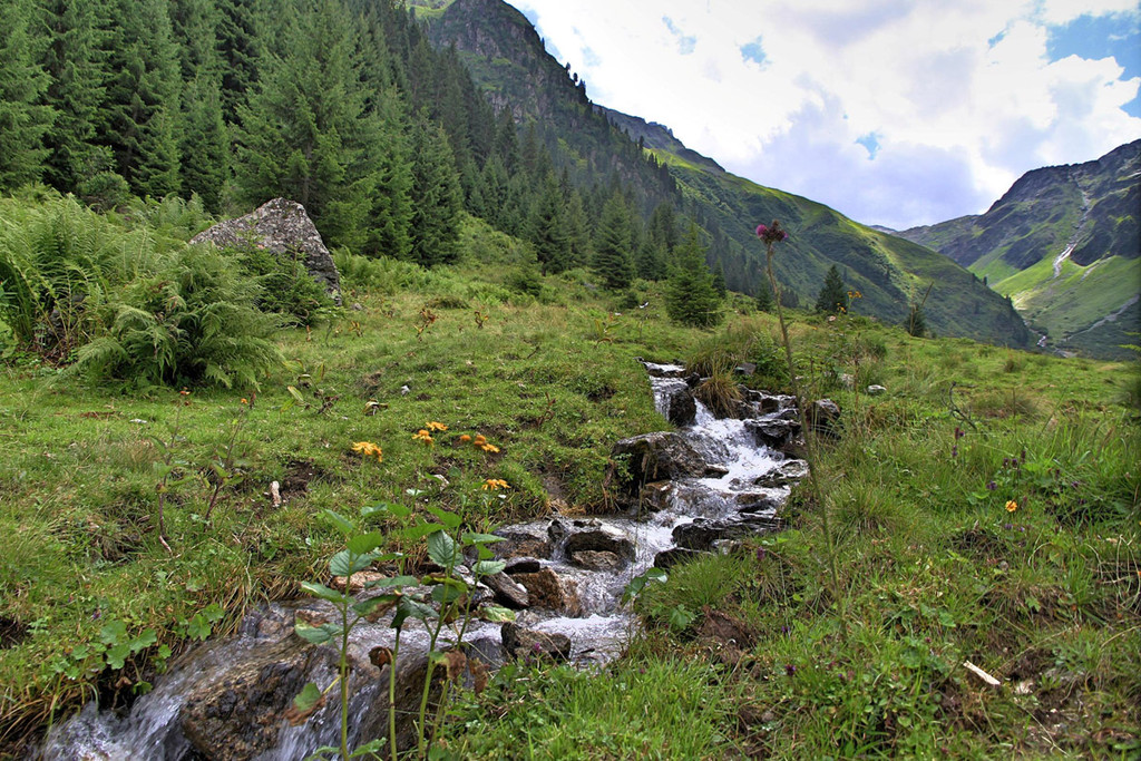Wanderung Nenzigastalpe12.jpg
