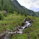Wanderung Nenzigastalpe12.jpg