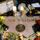 Williams13_600.jpg