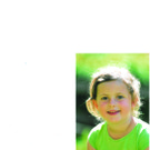 Wild Olivia Lingenau.jpg