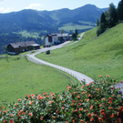 Sausteig  Blick vom Balkon_jpg-1272362423
