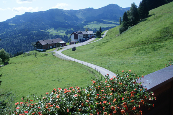 Sausteig  Blick vom Balkon_jpg-1272362423