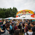 Besucher tag 1 - Frequency Festival 2014 - florian wieser - -6.jpg