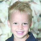 Liepert_Maximilian_Wald.jpg
