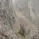 P1130079 _Small_.JPG