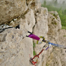 P1130151 _Small_.JPG