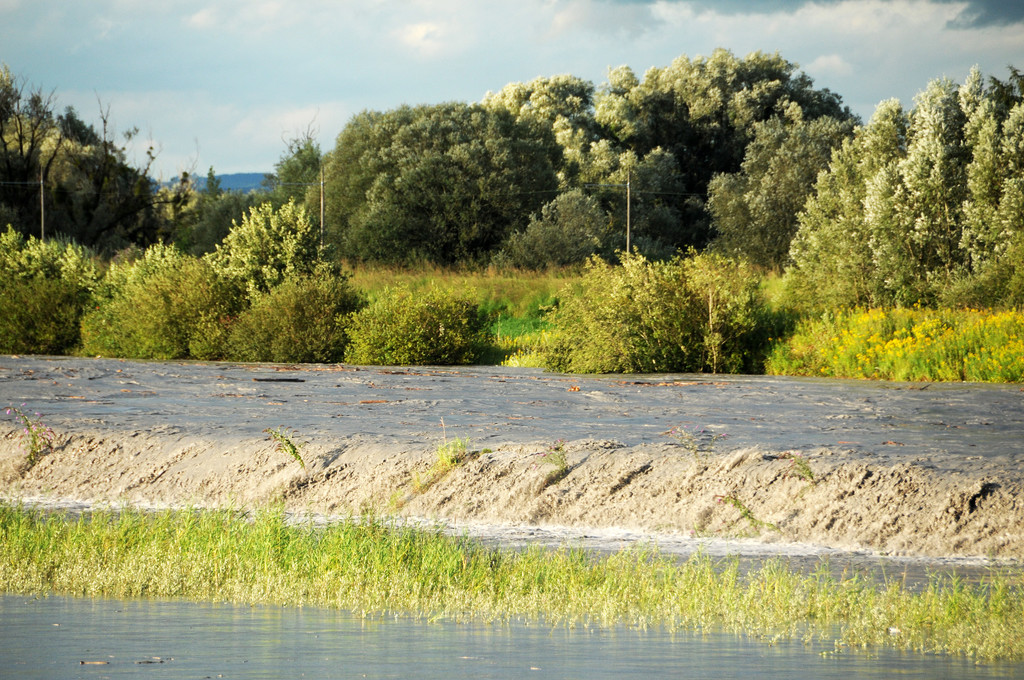 Rheinbru__cke 13-08-2014 59.jpg