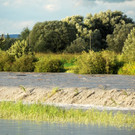 Rheinbru__cke 13-08-2014 59.jpg