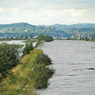 Rheinbru__cke 13-08-2014 34.jpg