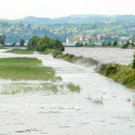 Rheinbru__cke 13-08-2014 36.jpg
