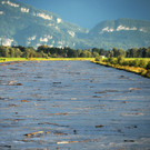 Rheinbru__cke 13-08-2014 81.jpg