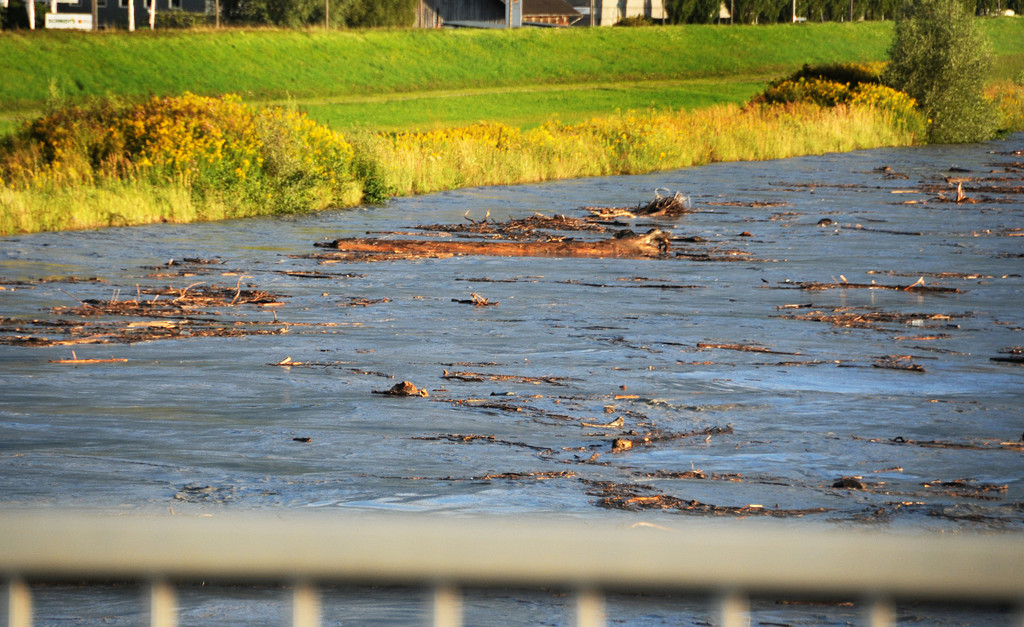 Rheinbru__cke 13-08-2014 79.jpg