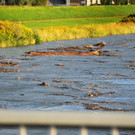 Rheinbru__cke 13-08-2014 79.jpg