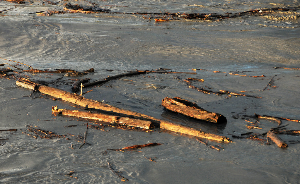 Rheinbru__cke 13-08-2014 82.jpg