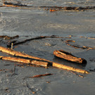 Rheinbru__cke 13-08-2014 82.jpg